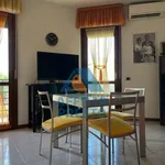 Rent 2 bedroom apartment of 50 m² in Florence