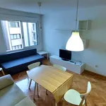 Rent 1 bedroom apartment of 46 m² in Madrid