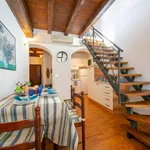 Rent 1 bedroom apartment of 40 m² in Paradiso