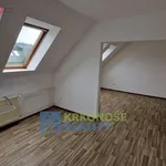 Rent 3 bedroom apartment in Radvanice