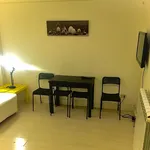 Rent 1 bedroom apartment in Rome