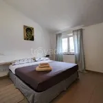 Rent 4 bedroom apartment of 85 m² in Massa