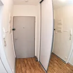 Rent 1 bedroom apartment in Brno