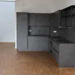 Miete 2 Schlafzimmer wohnung von 55 m² in Frankfurt