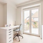 Rent 1 bedroom apartment in Leuven