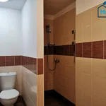 Rent 2 bedroom apartment of 60 m² in Ostrava