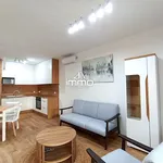 Mieszkanie w apartamentowcu wysoki standard 56,48 m² na wynajem ul. Kopernika, Oleśnica, Serbinów