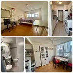 Rent 1 bedroom apartment in Old Toronto