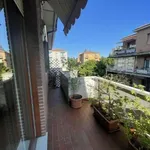 Rent 5 bedroom apartment of 167 m² in Bologna