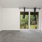 Rent 1 bedroom apartment in Austin