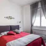 Rent 4 bedroom apartment of 67 m² in Bologna