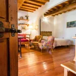 Rent 1 bedroom apartment of 40 m² in Florence