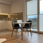 Rent 2 bedroom apartment of 44 m² in Chorzów