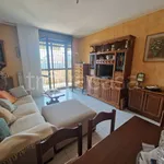 Rent 2 bedroom apartment of 82 m² in Milano