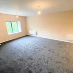 Rent 1 bedroom apartment in North East England