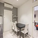 Rent 1 bedroom apartment in Bologna