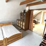 Rent 8 bedroom house of 370 m² in Dobříš