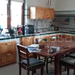 Rent 3 bedroom apartment of 95 m² in Gravina di Catania