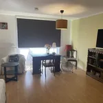 Rent 1 bedroom apartment of 409 m² in Dresden