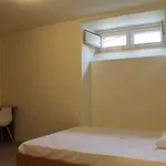 Alugar 1 quarto apartamento em coimbra