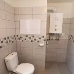 Rent 1 bedroom apartment in Sokolov