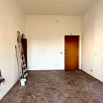 Rent 3 bedroom apartment of 90 m² in Palermo