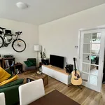 Rent 2 bedroom apartment of 63 m² in Den Haag