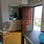 Rent 4 bedroom apartment of 58 m² in Porto Sant'Elpidio