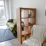 Rent 1 bedroom apartment of 377 m² in Bonn