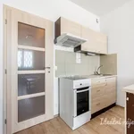 Pronajměte si 1 ložnic/e byt o rozloze 33 m² v Prague