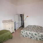 Rent 2 bedroom apartment of 60 m² in livorno