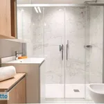 Rent 1 bedroom apartment of 28 m² in Milan