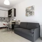 Rent 1 bedroom apartment of 42 m² in milan