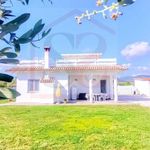 Affittasi Villa, VILLETTA IN AFFITTO A 50 M DAL MARE SANTA SEVERA - Annunci Santa Marinella (Roma) - Rif.563013