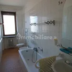 Rent 3 bedroom apartment of 80 m² in Turin