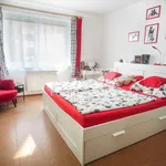 Rent 1 bedroom apartment of 40 m² in Chropyně