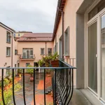 Rent 1 bedroom apartment in Florence