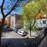 Rent 3 bedroom apartment in Madrid