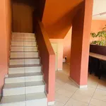 Rent 1 bedroom apartment in Soweto