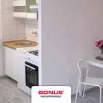 Rent 1 bedroom apartment of 30 m² in Poznan