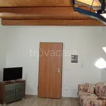 Rent 2 bedroom apartment of 50 m² in L'Aquila