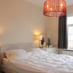 Rent 3 bedroom apartment of 100 m² in Den Haag