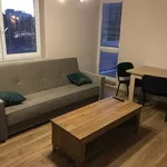 Rent 2 bedroom apartment of 44 m² in Lublin