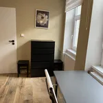 Pronajměte si 1 ložnic/e byt o rozloze 35 m² v Prague