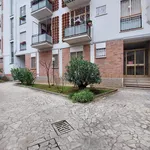 Rent 1 bedroom apartment in Rome