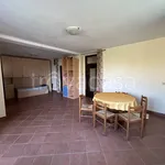 Rent 3 bedroom apartment of 100 m² in Colle Brianza