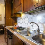 Rent 2 bedroom apartment of 80 m² in bologna