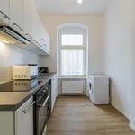 Rent 1 bedroom apartment in Berlin