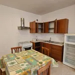 Rent 2 bedroom apartment of 50 m² in Frosinone