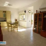 Rent 3 bedroom apartment of 90 m² in Cagliari